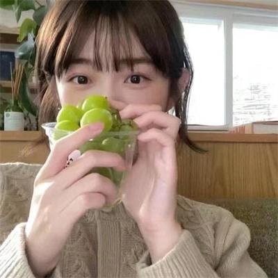 容易受伤的玫瑰